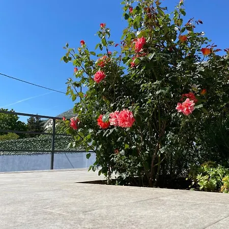 Natura Apartament Gata